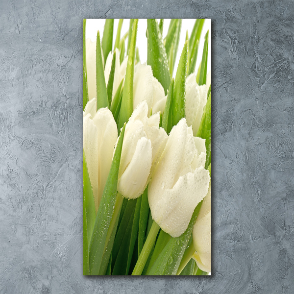 Bild auf Acrylglas vertikal Weiße Tulpen