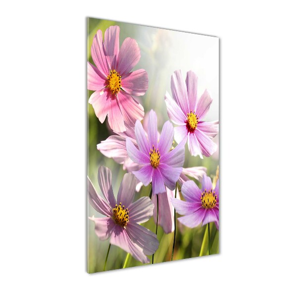 Plexiglasbilder vertikal Wildblumen