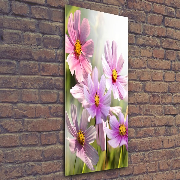 Plexiglasbilder vertikal Wildblumen