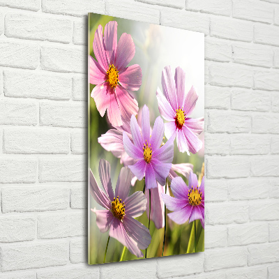 Plexiglasbilder vertikal Wildblumen