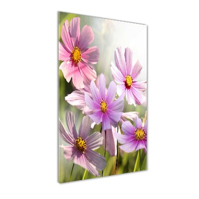 Plexiglasbilder vertikal Wildblumen