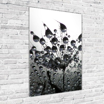 Acrylbild vertikal Löwenzahnsamen