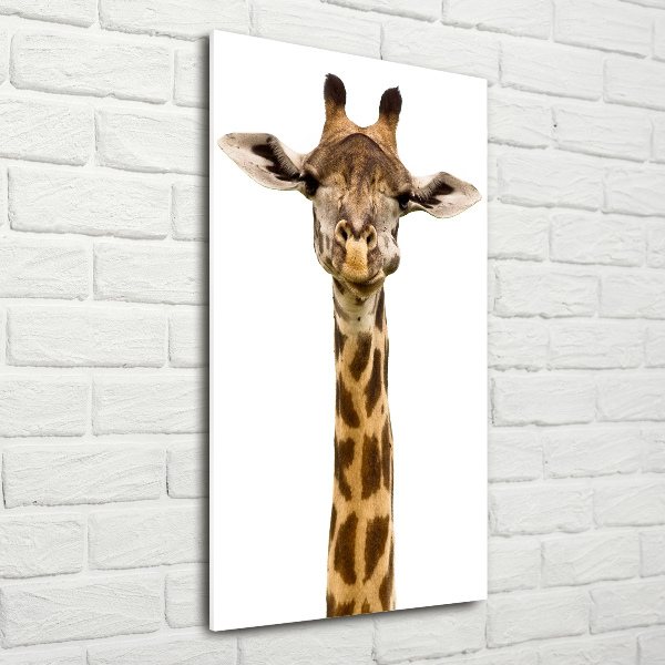 Bild auf Acrylglas vertikal Giraffe
