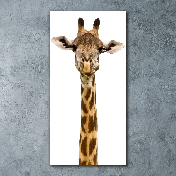 Bild auf Acrylglas vertikal Giraffe