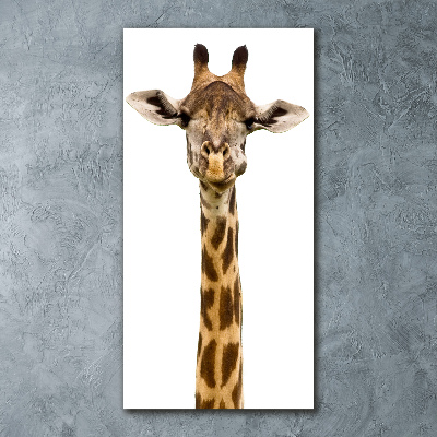 Bild auf Acrylglas vertikal Giraffe