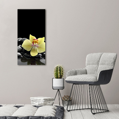 Acrylbild vertikal Orchidee und Steine