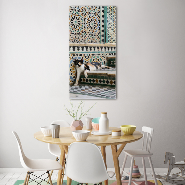 Plexiglasbilder vertikal Katze in Marokko