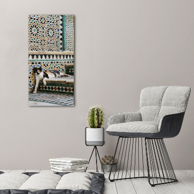 Plexiglasbilder vertikal Katze in Marokko