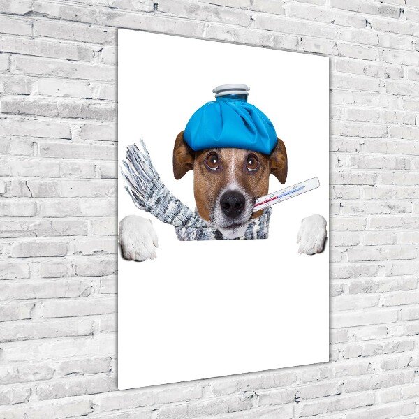 Plexiglasbilder vertikal Kranker Hund