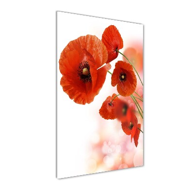 Modernes Acrylbild vertikal Feldmohn