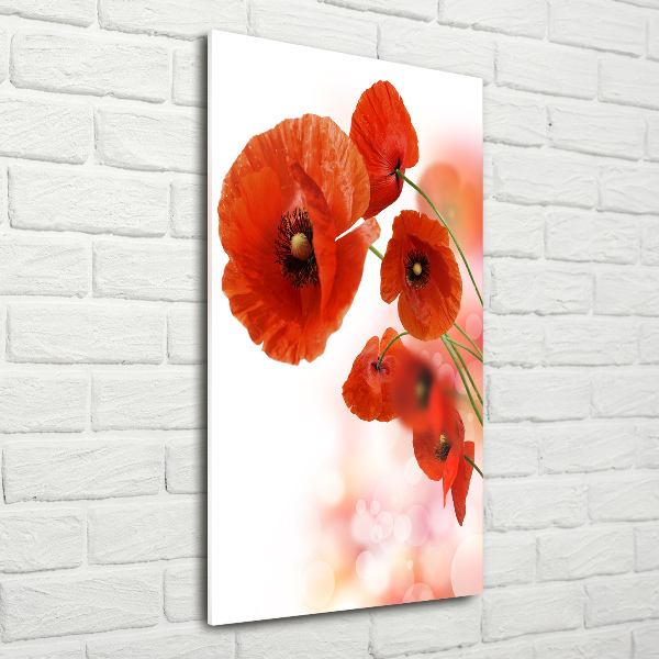 Modernes Acrylbild vertikal Feldmohn