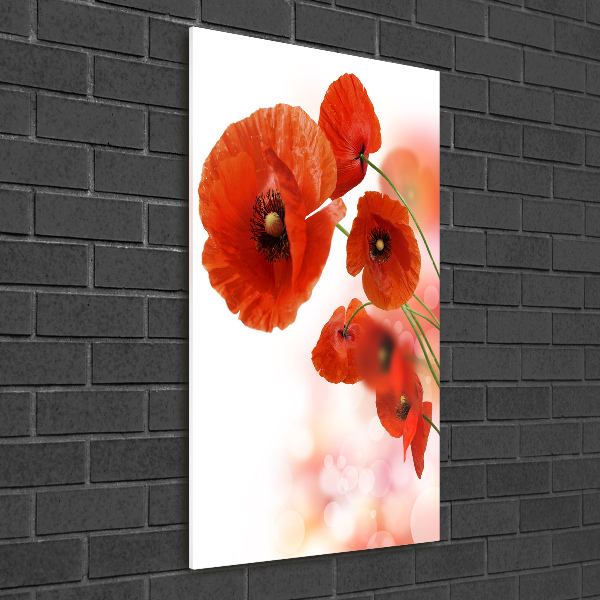 Modernes Acrylbild vertikal Feldmohn