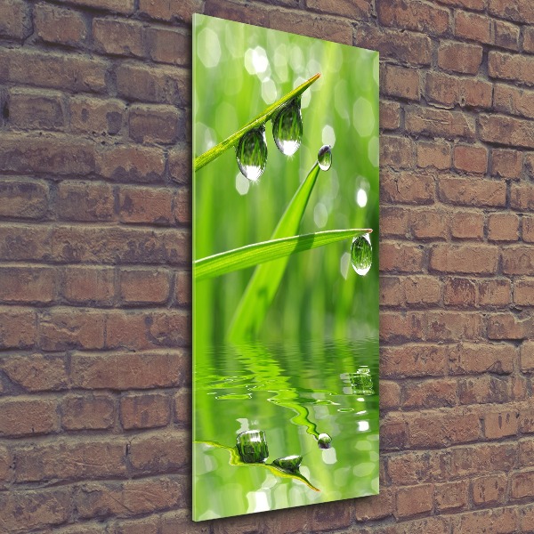 Bild auf Acrylglas vertikal Grashalme
