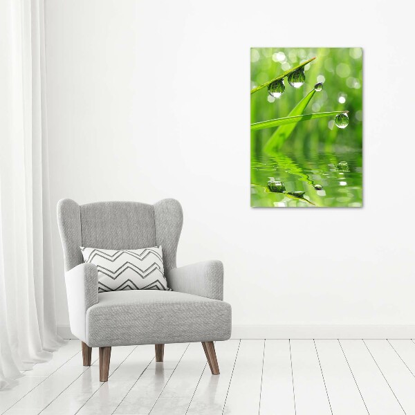 Bild auf Acrylglas vertikal Grashalme