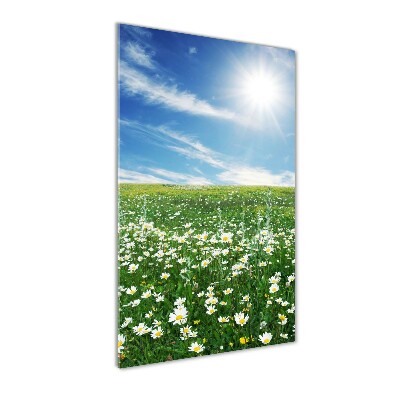 Bild auf Acrylglas vertikal Wiese