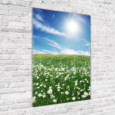 Bild auf Acrylglas vertikal Wiese