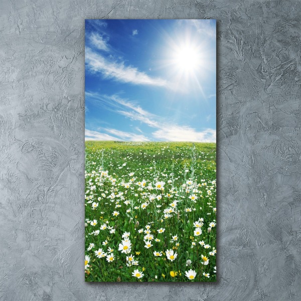 Bild auf Acrylglas vertikal Wiese