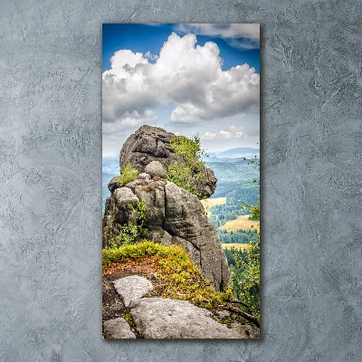 Acrylbild vertikal Szczeliniec Wielki