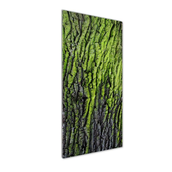Plexiglasbilder vertikal Baumrinde
