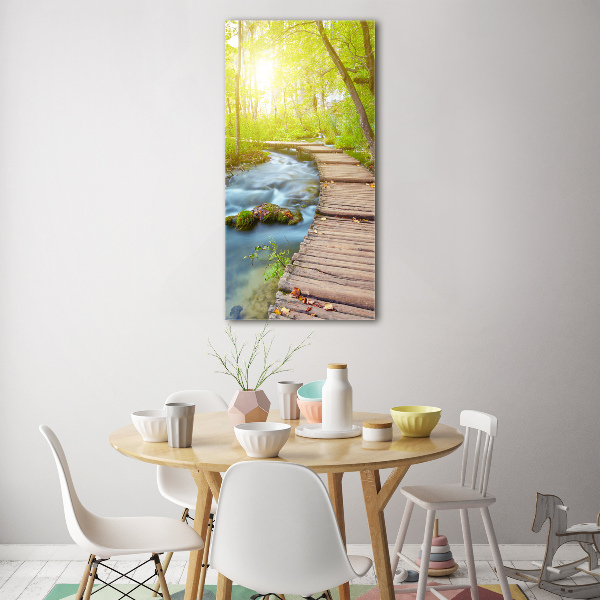 Plexiglasbilder vertikal Pfad im Wald