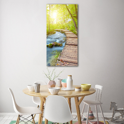 Plexiglasbilder vertikal Pfad im Wald