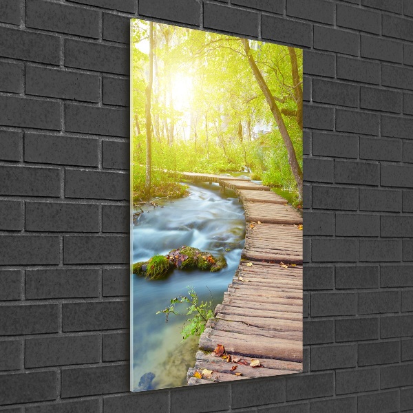 Plexiglasbilder vertikal Pfad im Wald