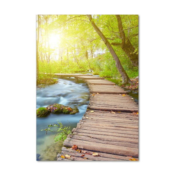 Plexiglasbilder vertikal Pfad im Wald