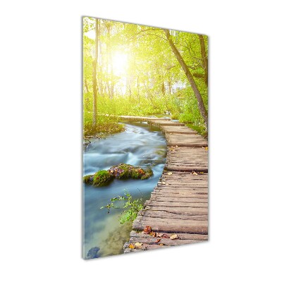 Plexiglasbilder vertikal Pfad im Wald