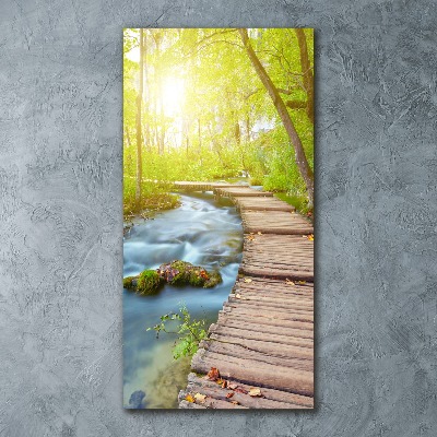 Plexiglasbilder vertikal Pfad im Wald