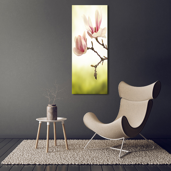 Bild auf Acrylglas vertikal Magnolienblüten