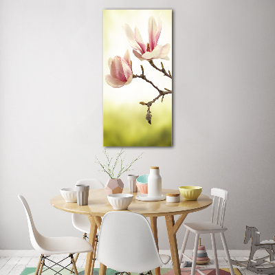 Bild auf Acrylglas vertikal Magnolienblüten