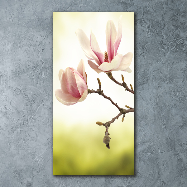 Bild auf Acrylglas vertikal Magnolienblüten