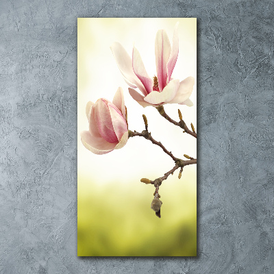Bild auf Acrylglas vertikal Magnolienblüten