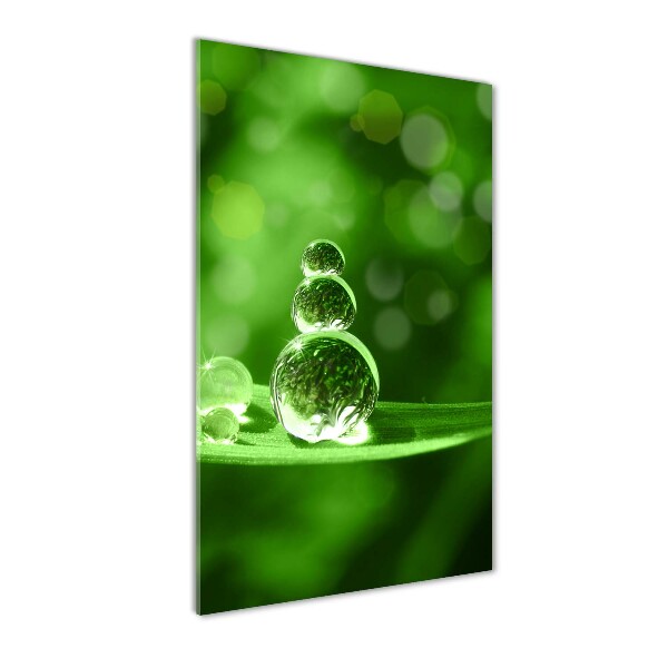 Plexiglasbilder vertikal Tropfen auf dem Gras