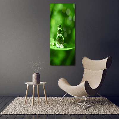 Plexiglasbilder vertikal Tropfen auf dem Gras