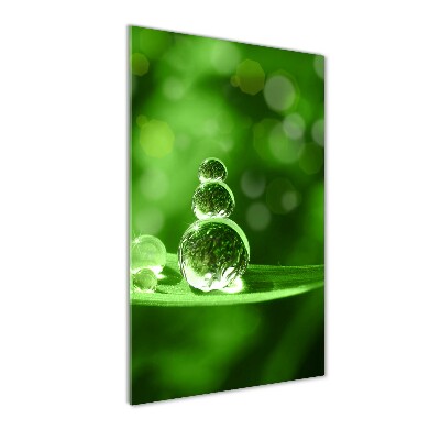 Plexiglasbilder vertikal Tropfen auf dem Gras