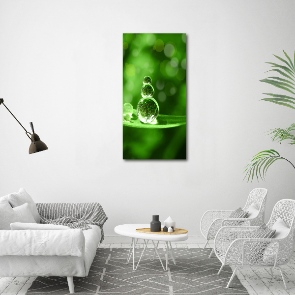 Plexiglasbilder vertikal Tropfen auf dem Gras