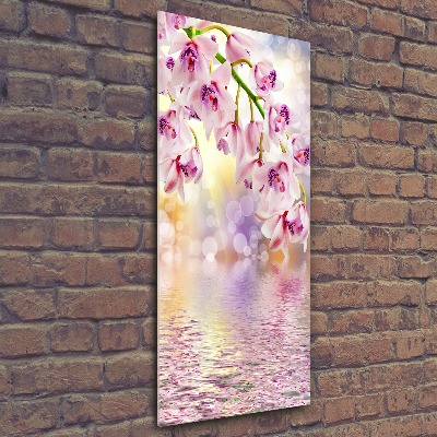 Bild auf Acrylglas vertikal Orchidee