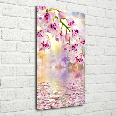 Bild auf Acrylglas vertikal Orchidee