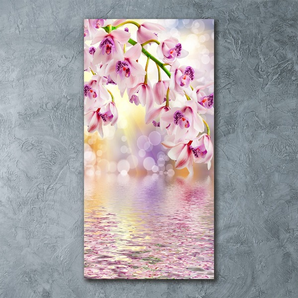 Bild auf Acrylglas vertikal Orchidee