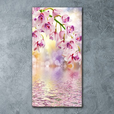 Bild auf Acrylglas vertikal Orchidee