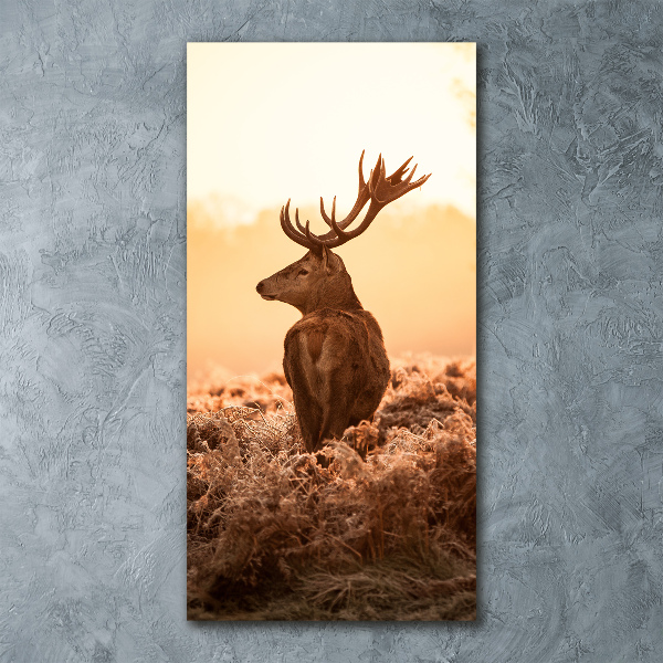 Acrylbild vertikal Hirsch-Sonnenaufgang