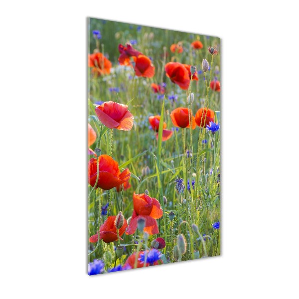 Acrylbild vertikal Wildmohn