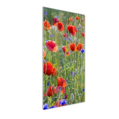 Acrylbild vertikal Wildmohn