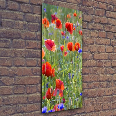 Acrylbild vertikal Wildmohn