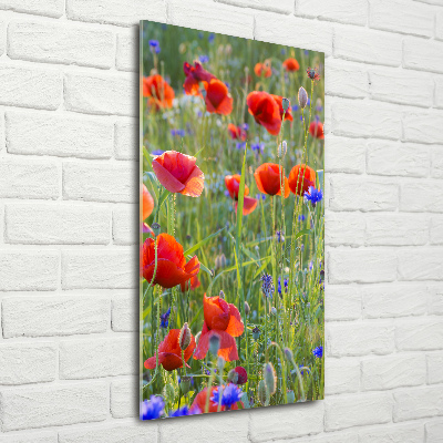Acrylbild vertikal Wildmohn