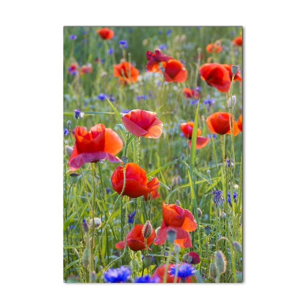 Acrylbild vertikal Wildmohn