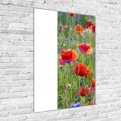 Acrylbild vertikal Wildmohn