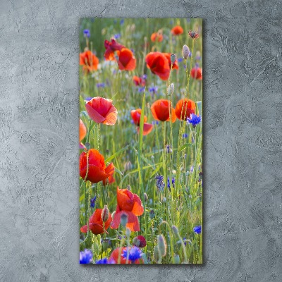 Acrylbild vertikal Wildmohn