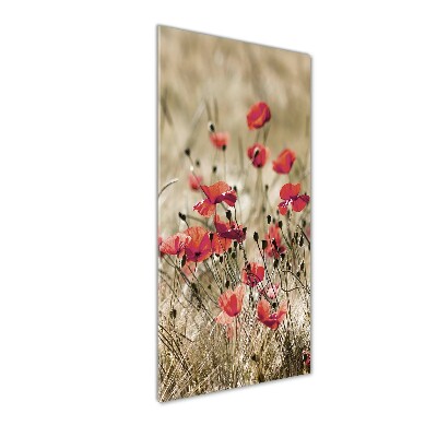 Plexiglasbilder vertikal Wildblumen